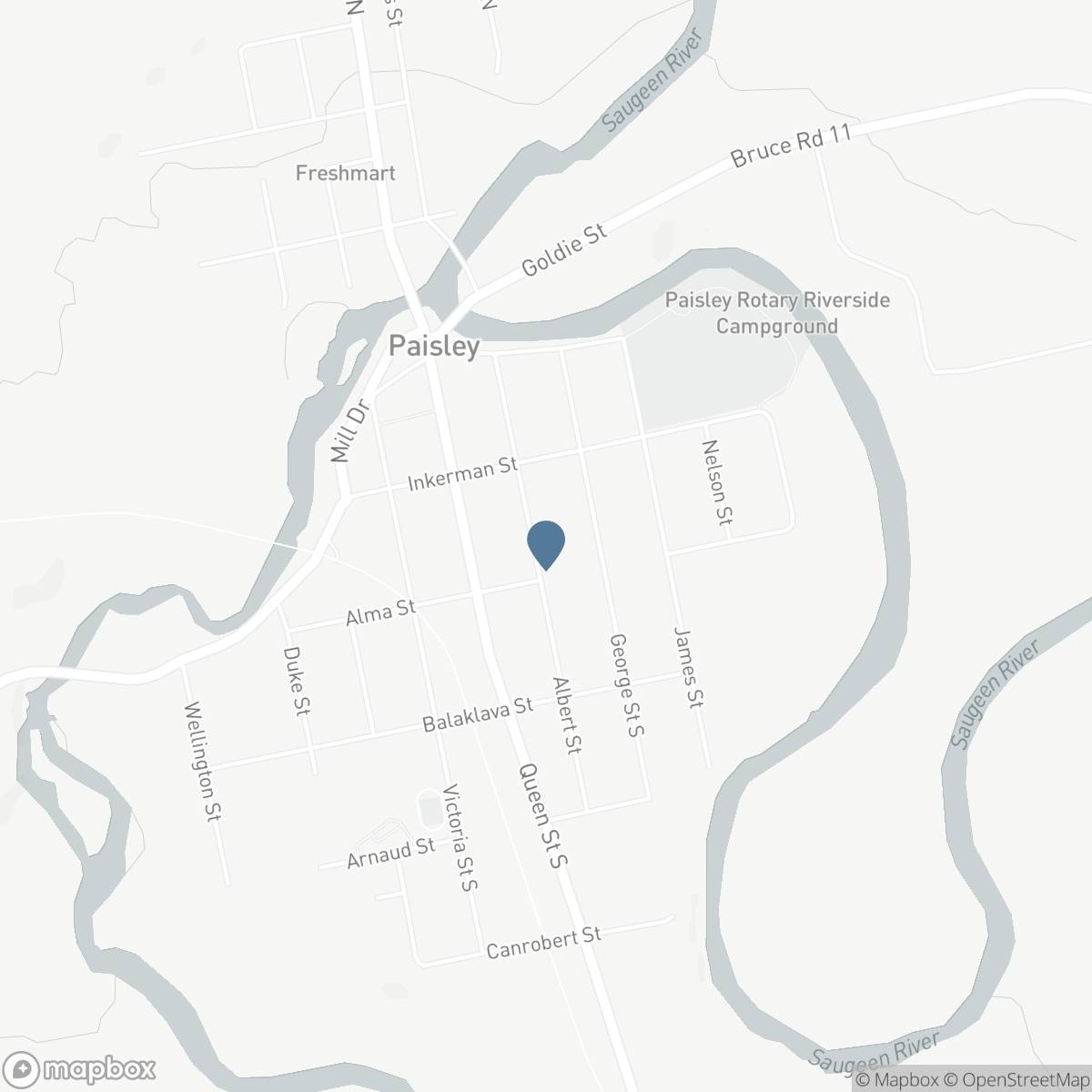 217 ALBERT STREET, Paisley, Ontario N0G 2N0